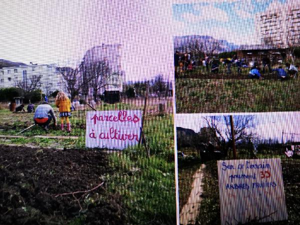 Destruction des jardins ouvriers de la Buisserate (Grenoble) et répression des habitants.