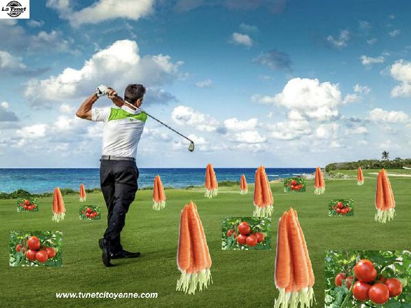 Golfer ou potager: une action de militants écologistes contre le golf d’Aix-les-Bains.