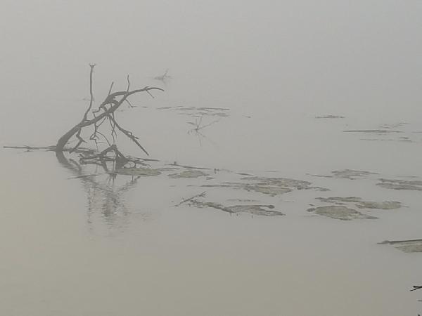 Brumes sur le Rhône