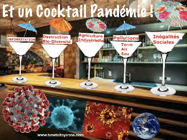 Conditions pour réaliser un bon “Cocktail Pandémie“ *