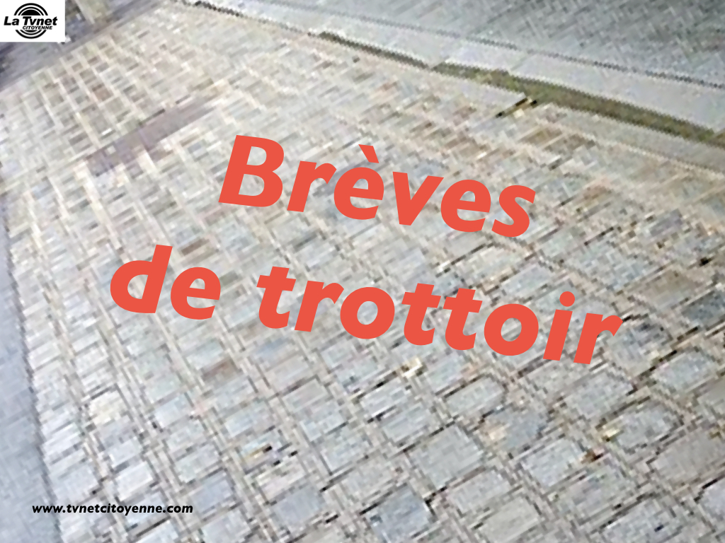 Brèves de trottoir : Mettre en faillite l'Etat