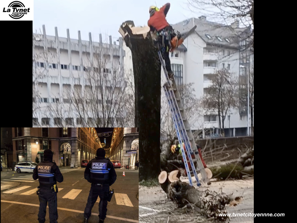 Chambéry: Quand filmer des arbres morts devient un problème… Lettre ouverte à la Municipalité de Chambéry.